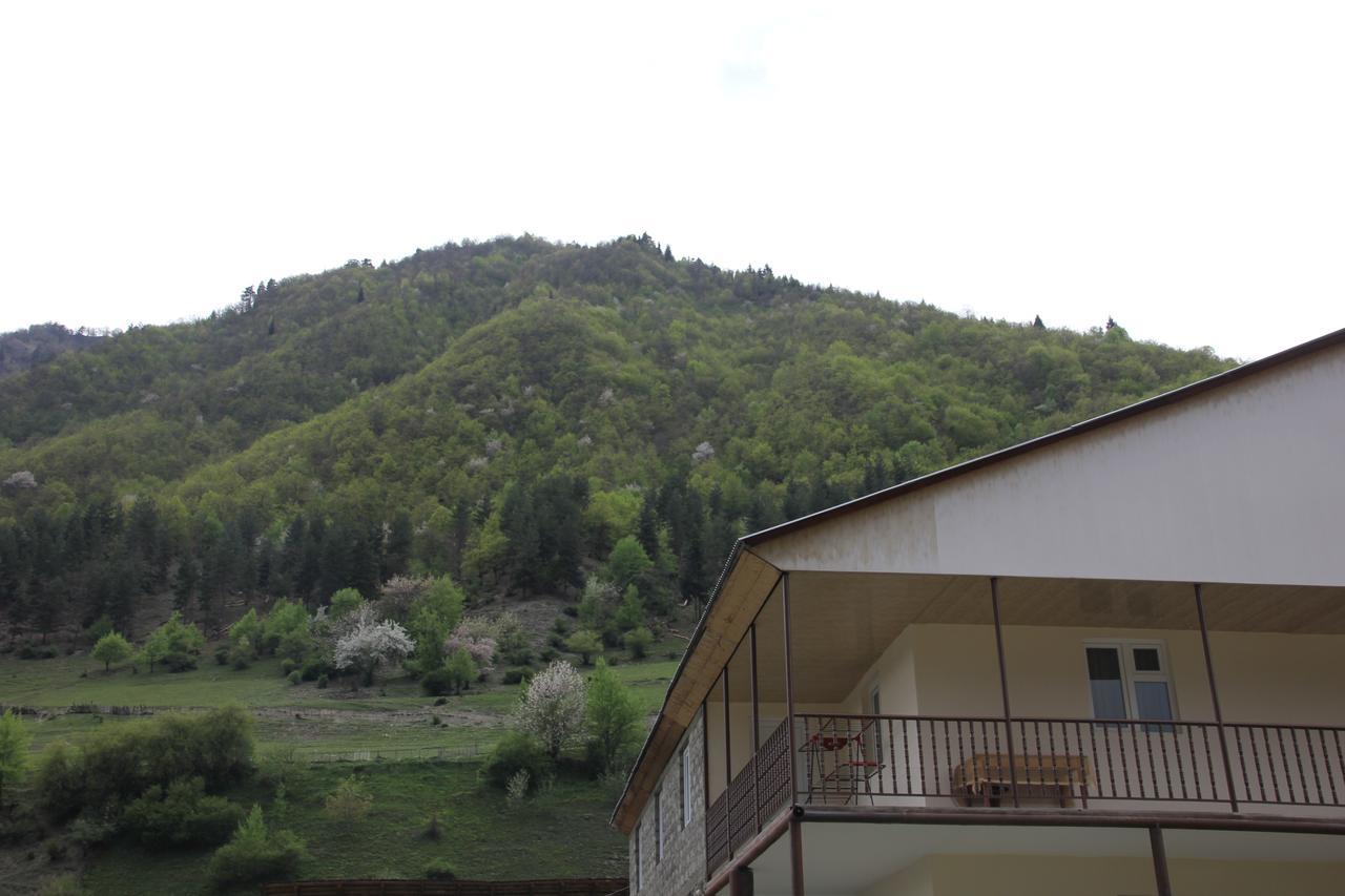 Guesthouse Qarim Mestia Extérieur photo